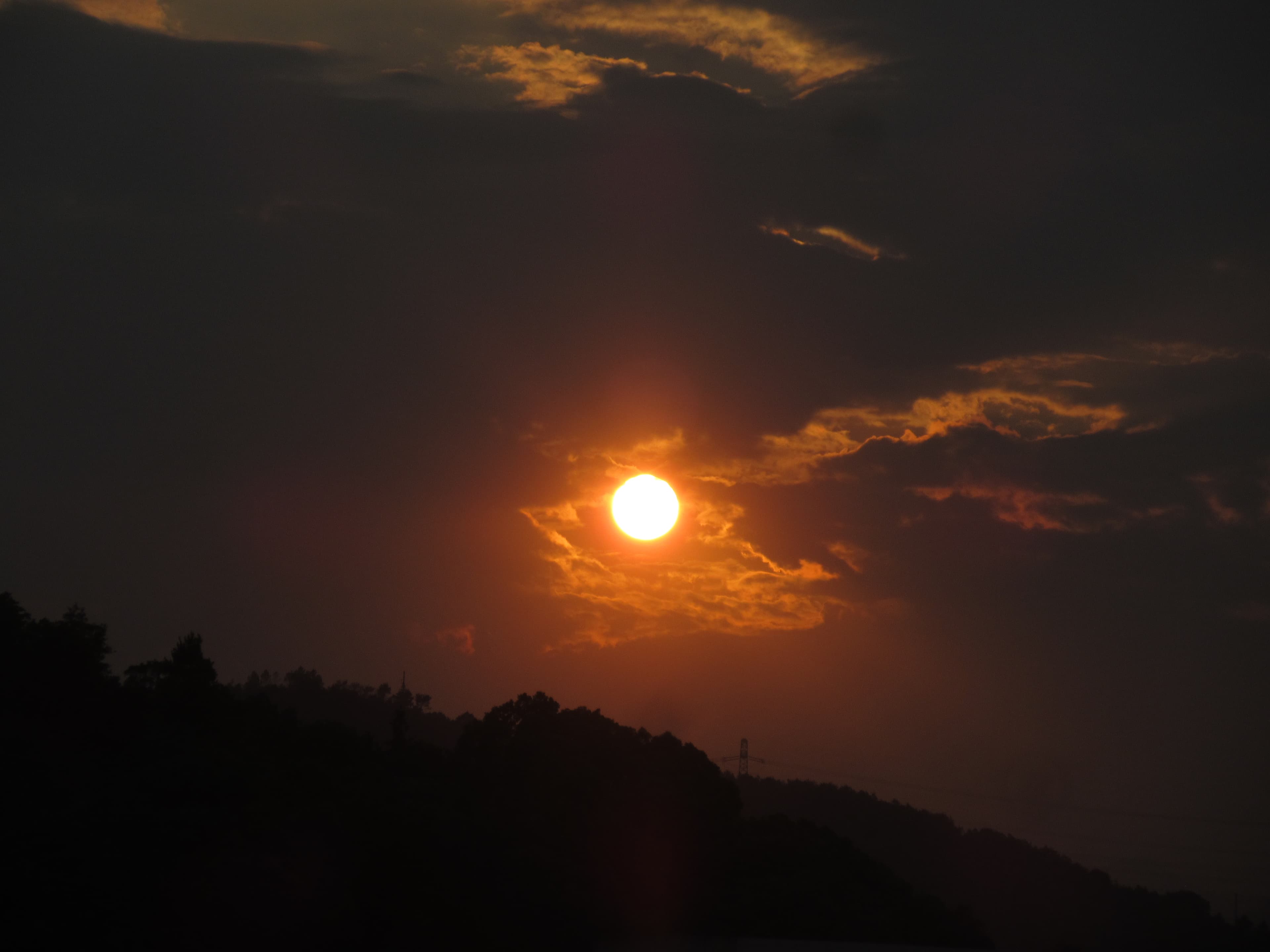 见过阳光的眼睛,容不下半点黑暗